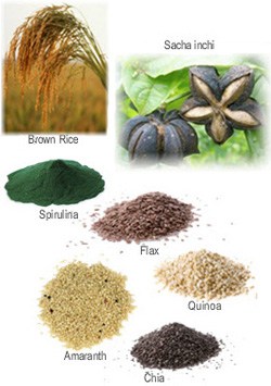 Shakeology protein sources